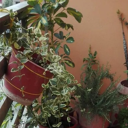 Sweet - Bed & Breakfast Tirana