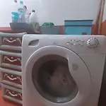 Sweet - Oda ve Kahvaltı *