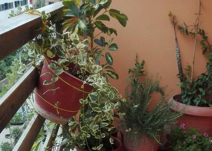 Sweet - Bed & Breakfast Yzberish